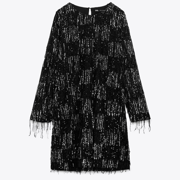 Zara Dresses & Skirts - Zara Sequin Fringed Mini Dress